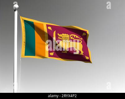 Sri Lanka Nationalflagge isoliert winkend auf grauem Hintergrund Stockfoto