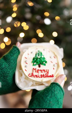 Nahaufnahme einer kleinen bento-Torte. Ein Mädchen hält einen selbstgemachten Weihnachtskuchen mit der Aufschrift Frohe Weihnachten in den Händen, vor dem Hintergrund eines Stockfoto