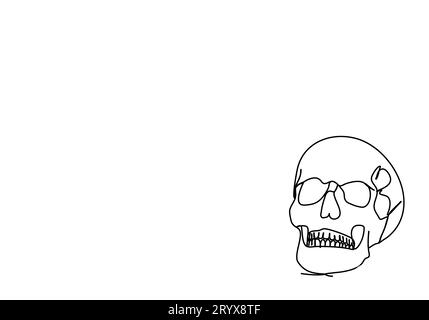Der menschliche Schädel. Einzeilige Zeichnung, Vektorillustration. Stock Vektor