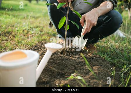 Junger Mann Gärtner, Baum im Garten Pflanzen, Gartenarbeit und Bewässerung von Pflanzen Stockfoto