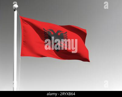 Albanische Nationalflagge isoliert winkend auf grauem Hintergrund Stockfoto