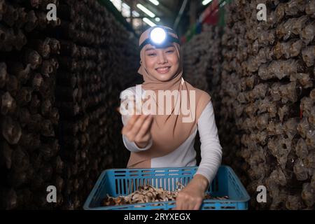 Porträt einer jungen asiatischen muslimin, die in einer Pilzfabrik arbeitet und reife Pilze in einem Pilzhaus sammelt. Stockfoto