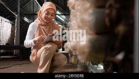 Junge asiatische muslimische Wissenschaftlerinnen forschen in der Pilzfabrik und sammeln reife Pilze im Pilzhaus für Labor Stockfoto