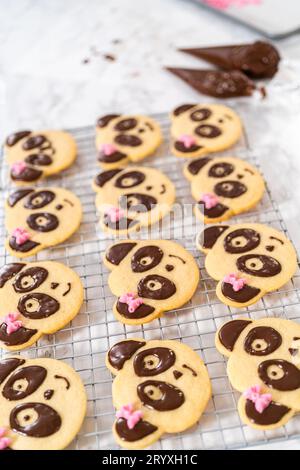 Panda-förmige Shortbread-Kekse mit Schokoladenglasur Stockfoto