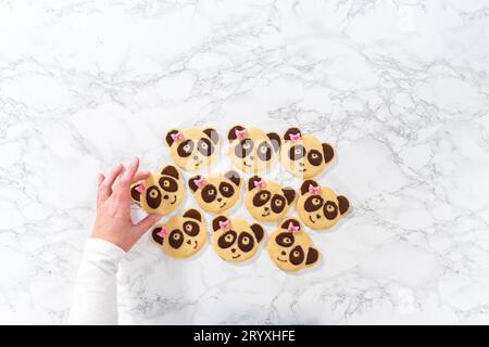 Panda-förmige Shortbread-Kekse mit Schokoladenglasur Stockfoto