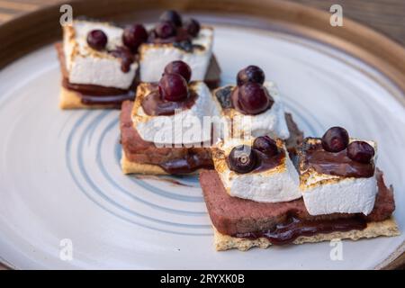 Köstliche Huckleberry-Rindfleischgeschäfte mit gerösteten Marshmallows mit geschmolzener Schokolade und einer Huckleberry-Sauce im Freien Stockfoto