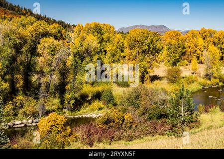 Schlafender Riese (Elchberg) mit Herbstlaub im Vordergrund Stockfoto
