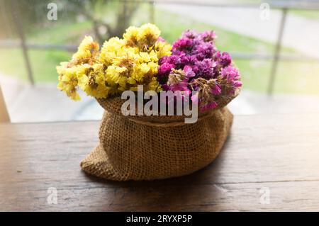 Schöne Blumen und Hauspflanzen auf Fensterbank schöne Blumen in Vase Stockfoto