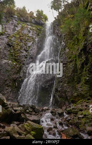Wasserfall im Wald, Burgbach Wasserfall bei Schapbach, Schwarzwald, Baden-Württemberg, Deutschland Stockfoto
