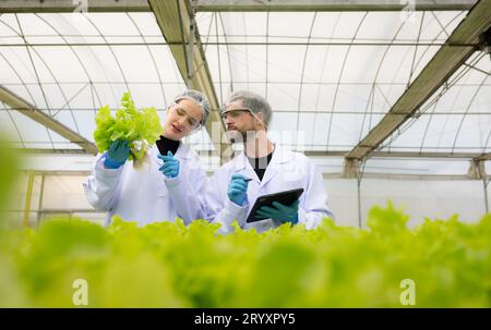 Wissenschaftler betreiben Forschung und Entwicklung zum Anbau von Bio-Gemüse in einem geschlossenen Betrieb. Stockfoto