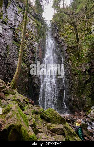 Der Burgbacher Wasserfall im Nadelwald fällt über Granitfelsen in das Tal bei Bad Rippoldsau-Schapbach, Schwarzwald, GE Stockfoto