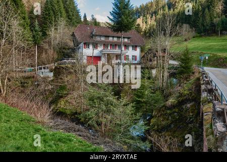 Berghütte in den Alpen. Panoramablick auf die wunderschöne Berglandschaft in Bad Rippoldsau-Schapbach im Schwarzwald Stockfoto