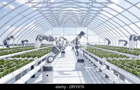 Intelligente Farm mit Roboterhänden, die Gemüse im Gewächshaus mit Himmelshintergrund anbauen und ernten. Innovative Technologie und Landwirtschaft Stockfoto