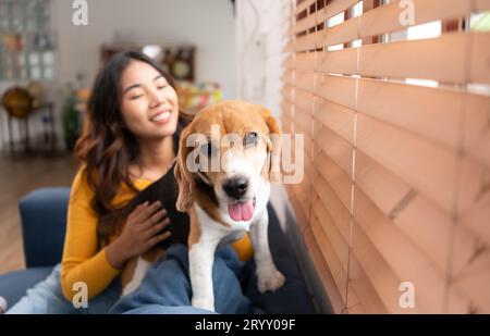 Beagle-Hund mit dem Mädchen ihres Besitzers auf einem Wochenendausflug sitzend und ausgeruht und aus dem Fenster im Wohnzimmer der Th Stockfoto