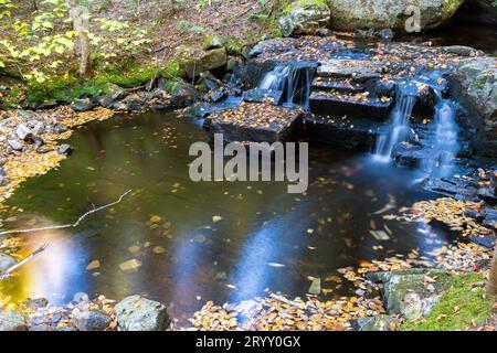 Kleiner Bach im Herbst, Quebec, Kanada Stockfoto