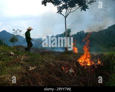 Cao Bang im Norden Vietnams. Mensch, der Erntegutrückstände verbrennt Stockfoto