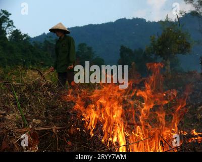 Cao Bang im Norden Vietnams. Mensch, der Erntegutrückstände verbrennt Stockfoto