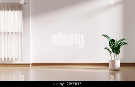 Weißer Hintergrund des leeren Raumes mit Fenster und Monstera-Pflanztopf auf Holzboden und Jalousien. Inneneinrichtung und Architektur Co Stockfoto