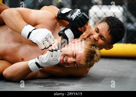 Mixed Martial Art: Wenn der Gegner niedergeschlagen wird, erwürgen Sie mit Ihren Händen den Hals Ihres Gegners. Erschweren es f Stockfoto