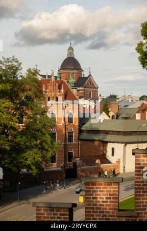 Sommerblick auf das Königsschloss Wawel in Krakau, Polen. Historischer Ort in Polen. Blumen im Vordergrund. Wunderschöne Besichtigungstour wi Stockfoto