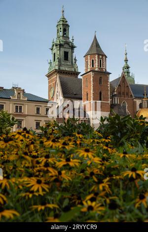 Sommerblick auf das Königsschloss Wawel in Krakau, Polen. Historischer Ort in Polen. Blumen im Vordergrund. Wunderschöne Besichtigungstour wi Stockfoto