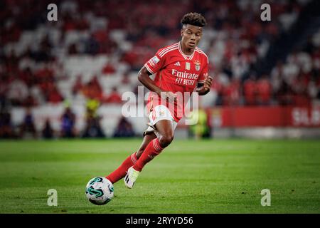 David NERES während des Liga Portugal Betclic 23/24 Spiels zwischen SL Benfica und dem FC Porto im Estadio da Luz, Lissabon. (Maciej Rogowski) Stockfoto