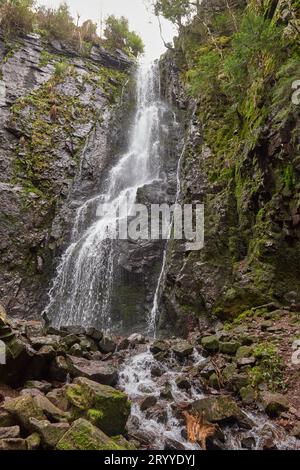 Wasserfall im Wald, Burgbach Wasserfall bei Schapbach, Schwarzwald, Baden-Württemberg, Deutschland Stockfoto