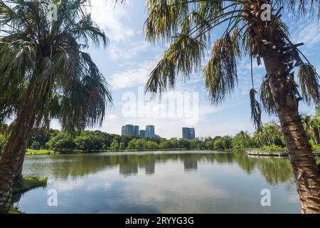 Öffentlicher Park in der großen Stadt. Platz und im Freien. Natur und Landschaft Thema. Bangkok Thailand Lage. Stockfoto