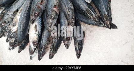 Makrele auf Eis im Supermarkt. Toter roher gefrorener japanischer Fisch namens Saba zum Kochen. Frisches Meersalzwasser, das scomber auspackt Stockfoto