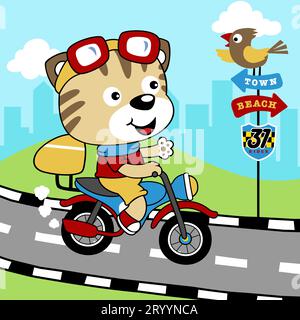 Lustige Katze, die Motorrad auf der Straße reitet, Vogel, der auf Straßenschild, Stadtstraße, Vektor-Karikaturillustration steht Stock Vektor
