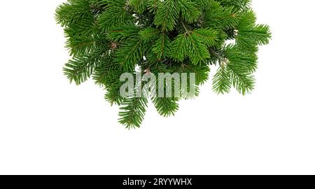 Weihnachtsbaumrand isoliert auf weißem transparentem, Weihnachtsfichte, Tannenzweig Stockfoto