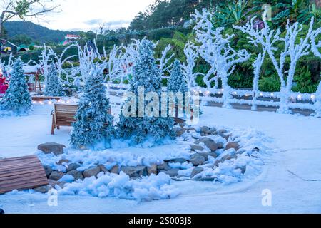 Weihnachten in da Lat, Vietnam. Die Landschaft außerhalb der Stadt begrüßt eine friedliche Weihnachtszeit in jedem Haus. Stockfoto