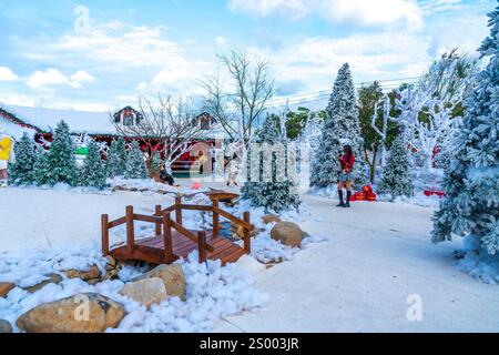 Weihnachten in da Lat, Vietnam. Die Landschaft außerhalb der Stadt begrüßt eine friedliche Weihnachtszeit in jedem Haus. Stockfoto