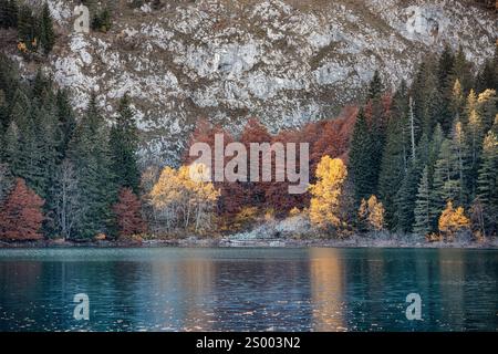 Laub reflektiert auf dem ruhigen Wasser eines Bergsees im Herbst Stockfoto