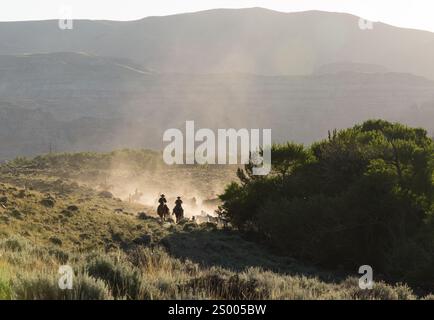 Zwei Cowboys, die Pferde durch Staub führen. Stockfoto