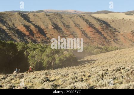 Zwei Reiter, die durch den Sagebrush galoppieren. Stockfoto