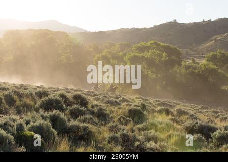 Zwei Streicher, die in der Ferne durch Salbei und Staub reiten. Stockfoto