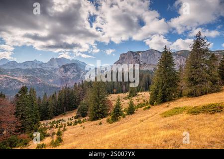 Majestätische Berge und farbenfroher Herbstwald schaffen atemberaubende Landschaften im Durmitor National Park Stockfoto