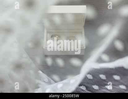 Eheringe in der Box hinter einem Bräute-Schleier an ihrem Hochzeitstag Stockfoto