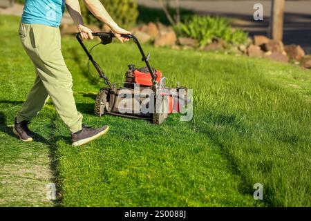 Person, die einen Rasen mit einem roten Rasenmäher mäht und ordentlich Gras schneidet Stockfoto