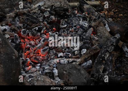 Kohlen im Feuer. Heiße Kohlen. Details eines Lagerfeuers im Wald. Stockfoto
