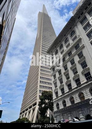 Das Transamerica Pyramid Gebäude in der Innenstadt von San Francisco Stockfoto