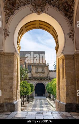 Blick von einem der Eingangstore der Moschee-Kathedrale von Cordoba, Andalusien, Spanien mit Blick auf Kopfsteinpflaster schwarz-weiß Fußweg in PA Stockfoto