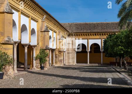 Die umliegenden Gebäude der Moschee-Kathedrale von Cordoba, Andalusien, Spanien, vom Patio de los naranjos (Orangenbäume) vor einem klaren blauen Himmel Stockfoto
