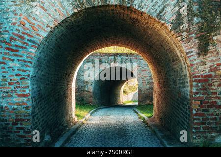 Bogengangstunnel aus Ziegeln auf der Festung Petrovaradin in Novi Sad, Serbien. Selektiver Fokus. Stockfoto