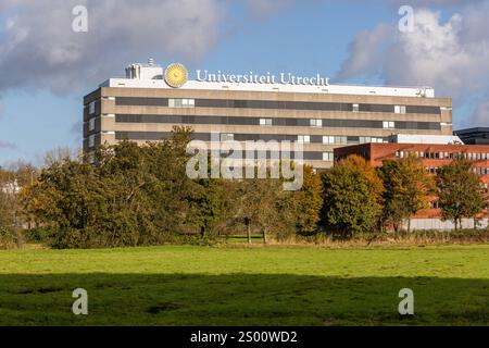 Utrecht, Niederlande 26. Oktober 2024. Bauschild Universiteit Utrecht. Die Universität Utrecht ist eine öffentliche Forschungsuniversität in Utrecht. Sie ist eingeschaltet Stockfoto