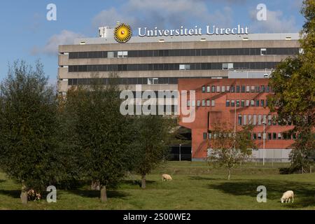 Utrecht, Niederlande 26. Oktober 2024. Schild für das Gebäude der Universität Utrecht. Die Universität Utrecht ist eine öffentliche Forschungsuniversität in Utrecht. Es ist ein o Stockfoto