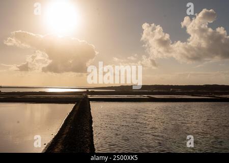 Salinas de Janubio auf der spanischen Insel Lazarote im Jahr 2024. Stockfoto