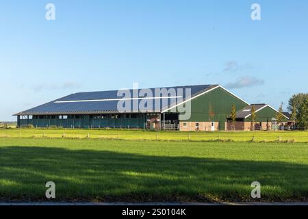 Ein niederländischer Bauernhof auf einer Wiese mit vielen Sonnenkollektoren auf dem Dach Stockfoto