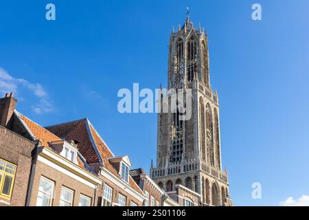 Der Dom in Utrecht erhebt sich über allen anderen historischen Gebäuden. Stockfoto